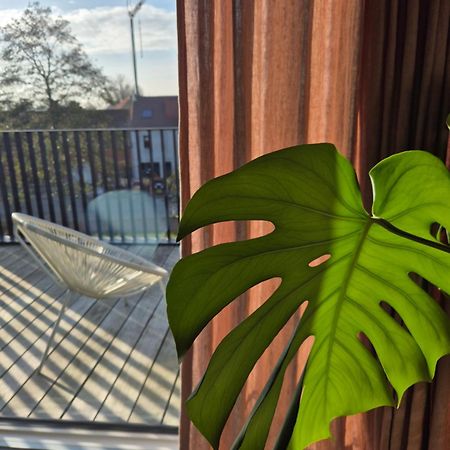 Julie'S Appartement Aan Zee - Jaaz 尼乌波特 外观 照片